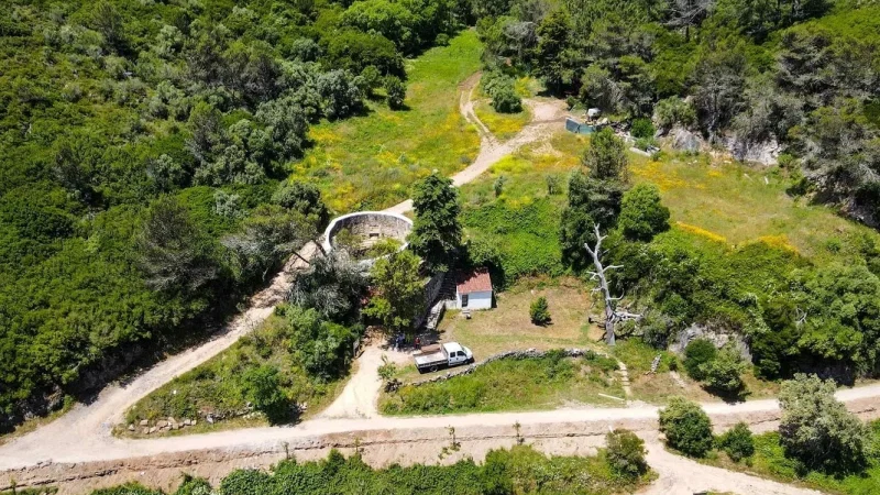 Quinta do Pisão – photo 10