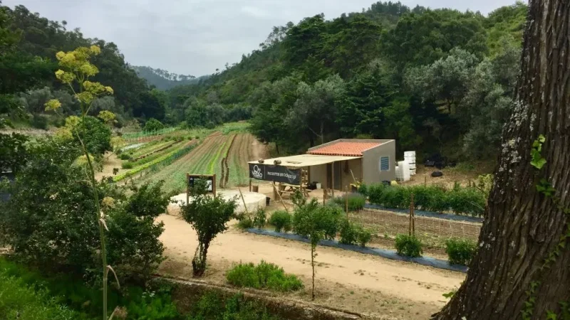 Quinta do Pisão – photo 2