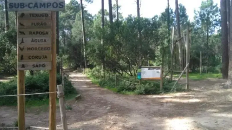 Foto da atividade Pedra Amarela Campo Base
