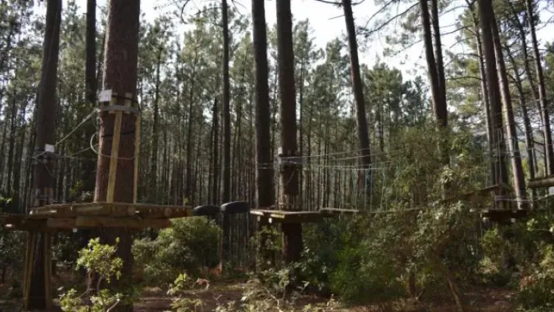 Foto da atividade Pedra Amarela Campo Base