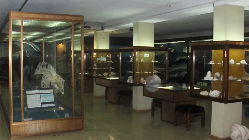 Foto da atividade Aquário Vasco da Gama