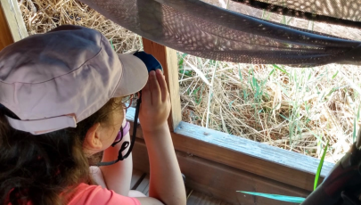 EVOA - Espaço de Visitação e Observação de Aves