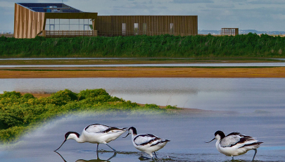 EVOA - Espaço de Visitação e Observação de Aves