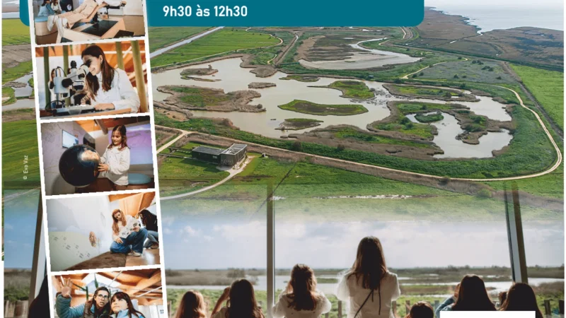 EVOA - Espaço de Visitação e Observação de Aves – photo 4