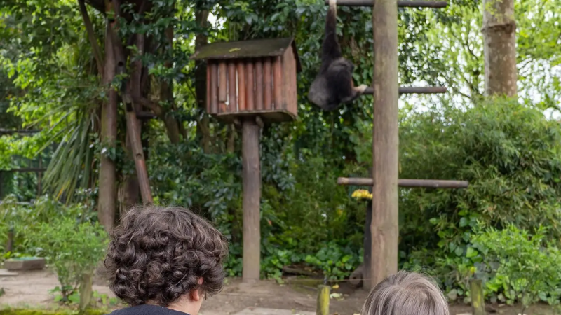 Foto da atividade Zoo da Maia