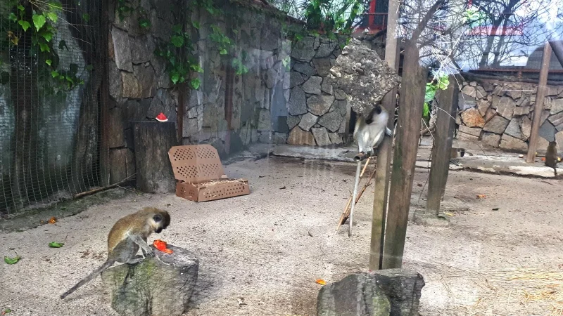 Zoo da Maia – photo 4