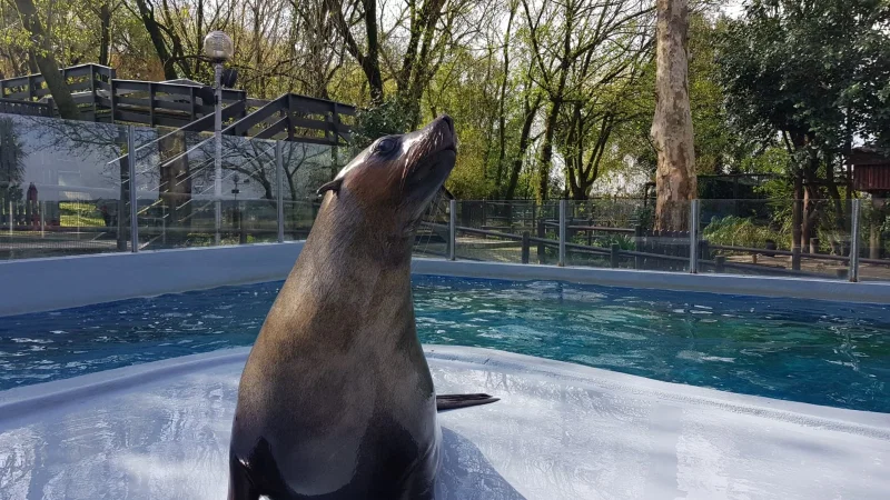 Zoo da Maia – photo 6