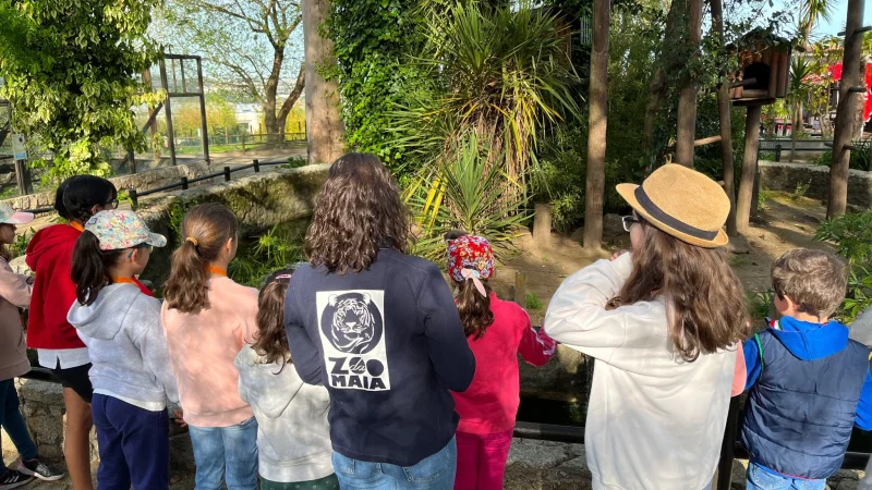 Zoo da Maia – photo 8