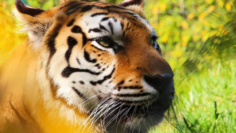 Zoo da Maia – photo 9