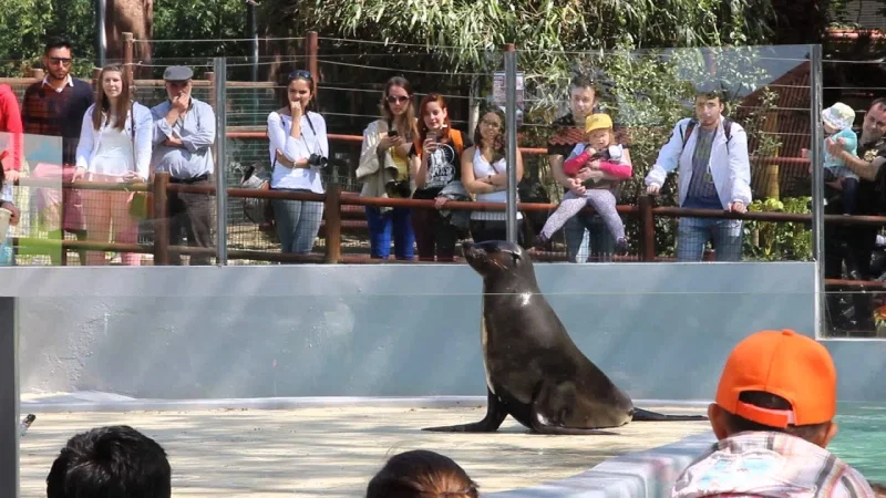 Zoo da Maia – photo 10