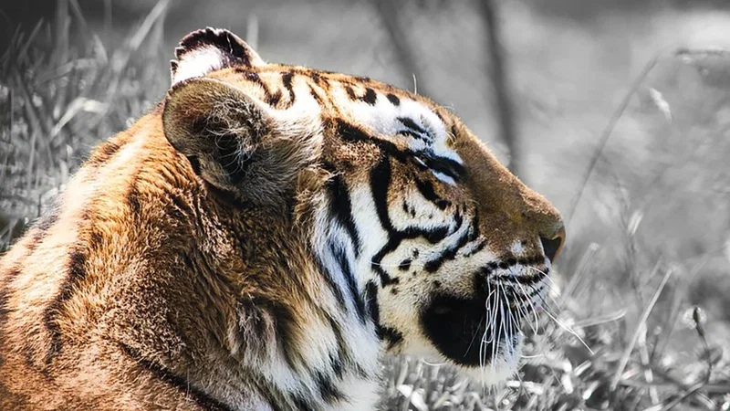 Zoo da Maia – photo 2