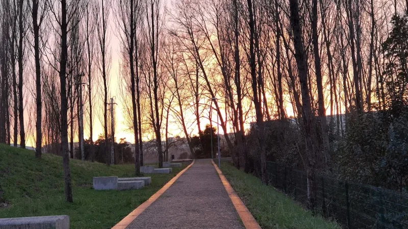 Ecocaminho da Maia – photo 6