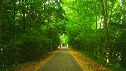 Ecocaminho da Maia