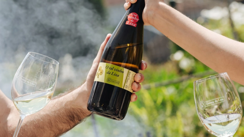 Foto da atividade Quinta da Lixa - Vinho Verde