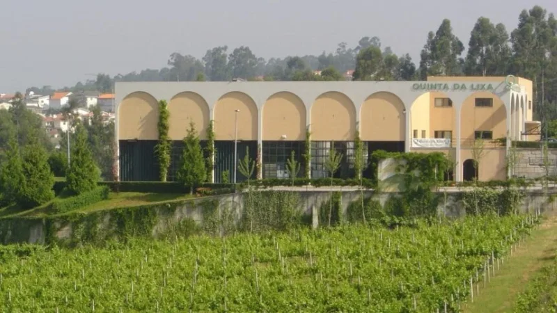 Quinta da Lixa - Vinho Verde – photo 5