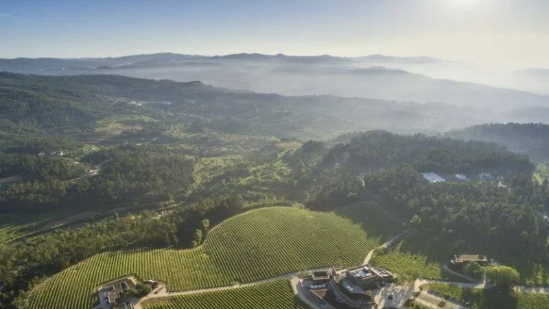 Quinta da Lixa - Vinho Verde – photo 3