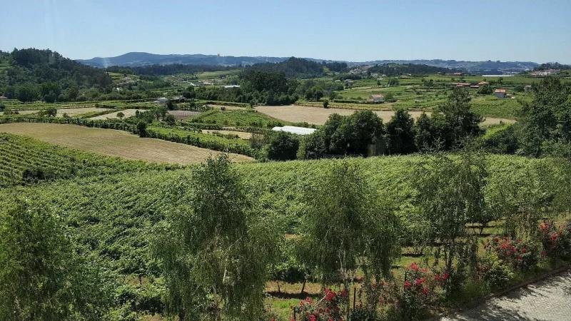Quinta da Lixa - Vinho Verde – photo 2