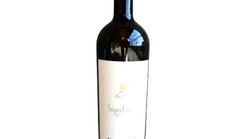 Sapateiro - (Vineyard & Winery) – photo 2