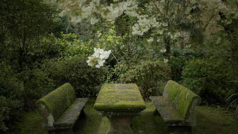 Foto da atividade Quinta da Aveleda