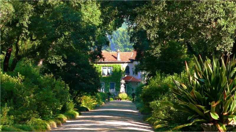 Quinta da Aveleda – photo 6