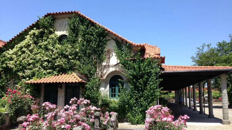 Quinta da Aveleda – photo 8
