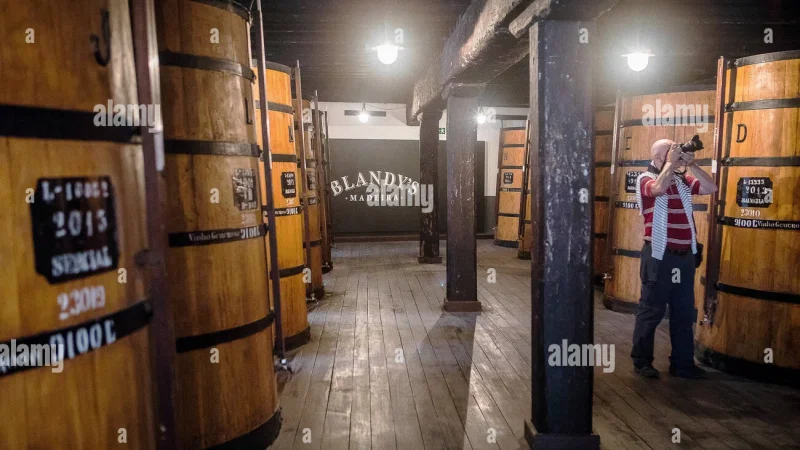 Blandy's Wine Lodge – photo 8