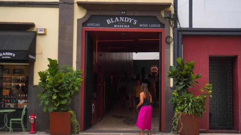 Blandy's Wine Lodge – photo 9