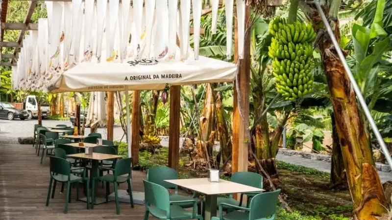 Museu da Banana da Madeira - BAM – photo 12