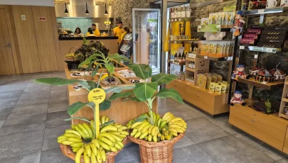 Museu da Banana da Madeira - BAM