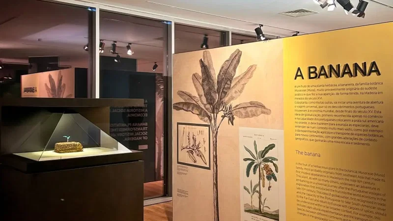 Museu da Banana da Madeira - BAM – photo 17