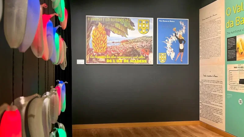 Museu da Banana da Madeira - BAM – photo 18