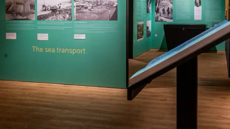 Museu da Banana da Madeira - BAM – photo 11
