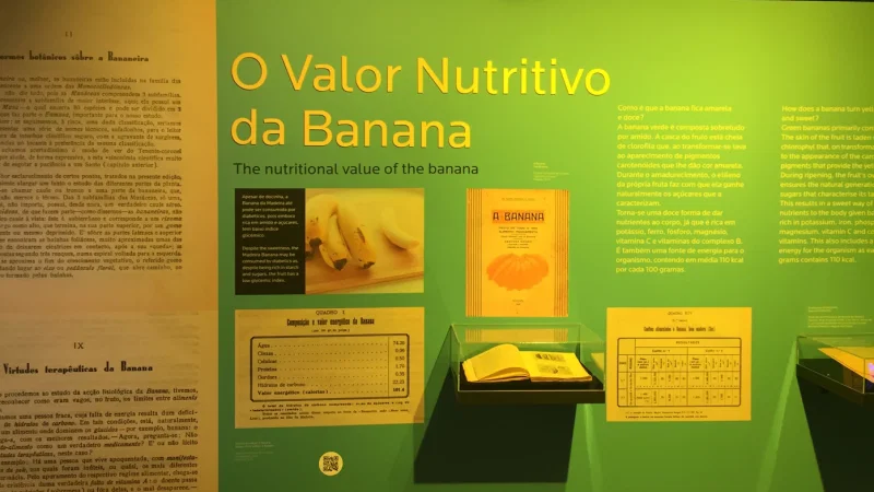 Museu da Banana da Madeira - BAM – photo 7