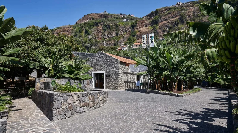 Museu da Banana da Madeira - BAM – photo 9