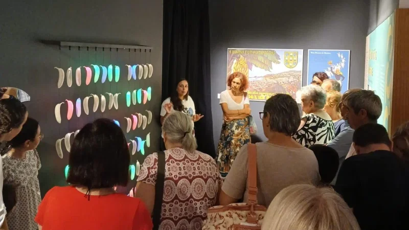 Museu da Banana da Madeira - BAM – photo 5