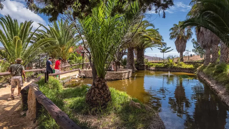 Quinta das Palmeiras – photo 3