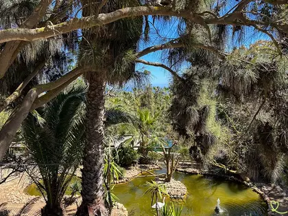 Quinta das Palmeiras