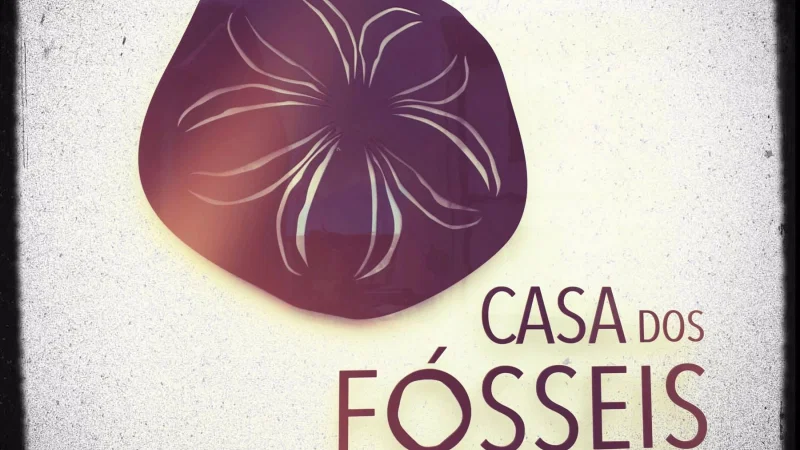 Casa dos Fósseis // Centro de Interpretação Ambiental Dalberto Pombo – photo 2