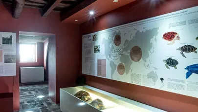 Casa dos Fósseis // Centro de Interpretação Ambiental Dalberto Pombo