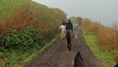 Quinta do Freio - horseback riding
