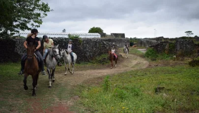 Quinta do Freio - horseback riding