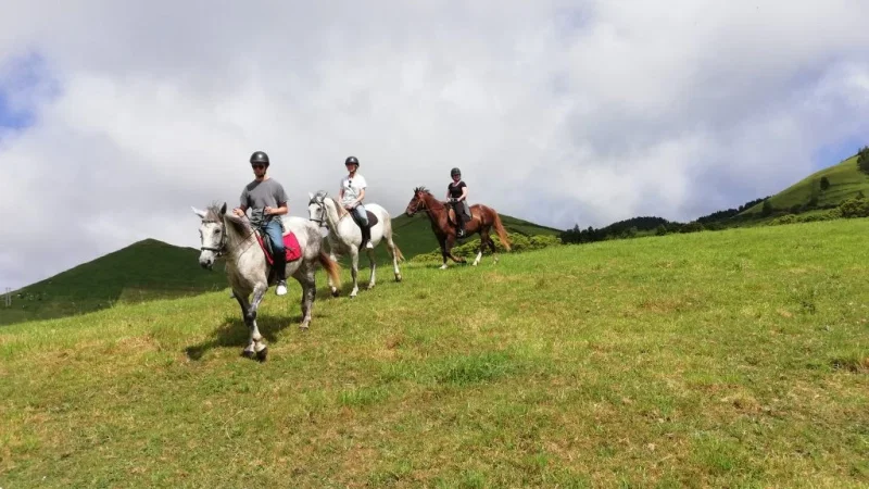 Quinta do Freio - horseback riding – photo 2