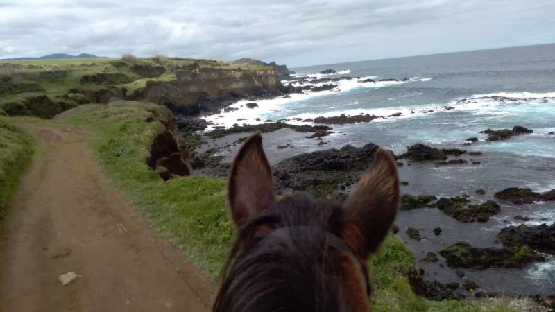 Quinta do Freio - horseback riding – photo 4