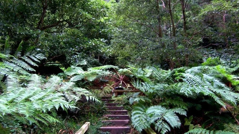Centro de Interpretação Ambiental da Caldeira Velha – foto 8