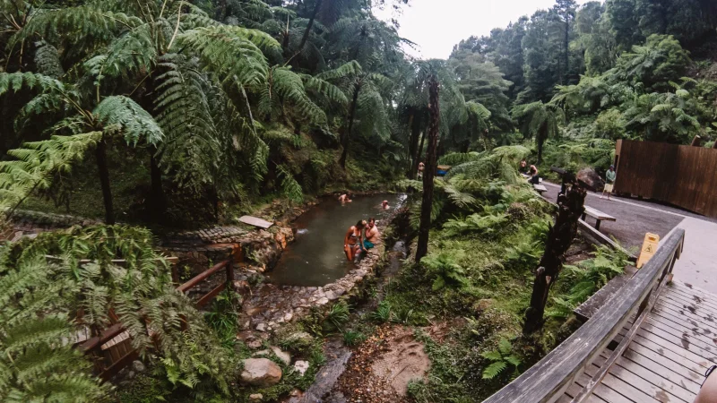 Centro de Interpretação Ambiental da Caldeira Velha – foto 2