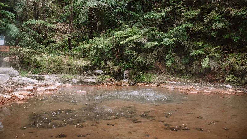 Centro de Interpretação Ambiental da Caldeira Velha – foto 4
