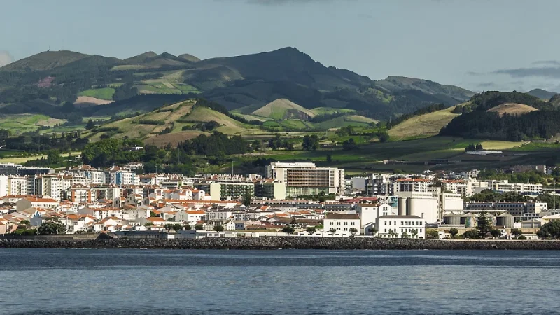 Plantação de Ananás dos Açores – photo 9