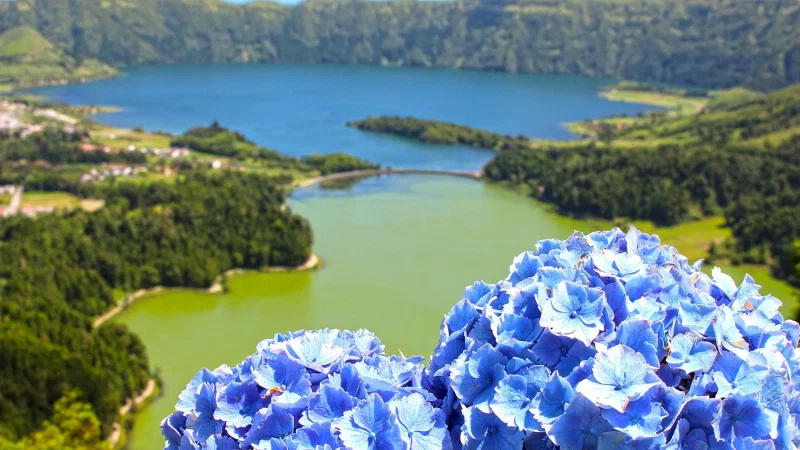 Observatório Vulcanológico e Geotérmico dos Açores – foto 6