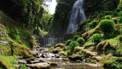 Parque Natural da Ribeira dos Caldeirões