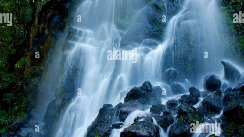 Parque Natural da Ribeira dos Caldeirões – foto 7